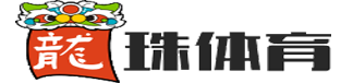 龙珠体育 Logo